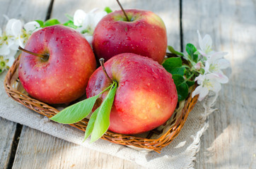 Fresh red apples in a basket