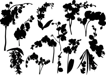 Wall Mural - set of orchid branches silhouettes