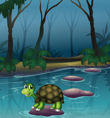 Poster - A turtle at the lake