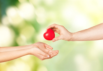 Wall Mural - woman and man hands with heart