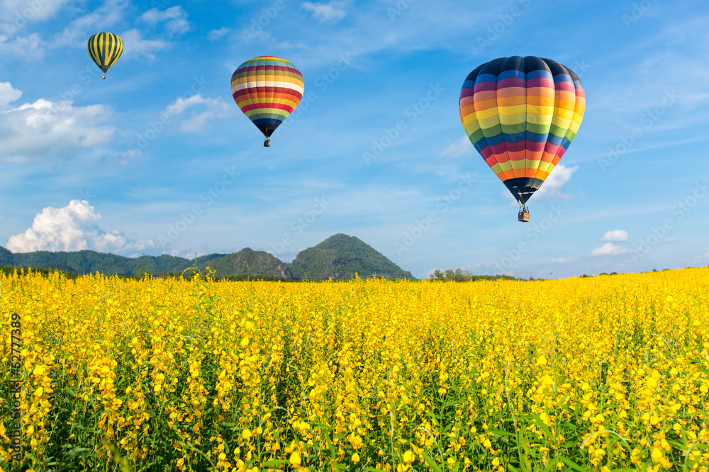 Hot air balloon over yellow flower fields against blue sky Stock Photo ...