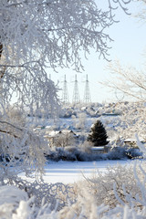 winter landscape