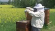 bienen & Imker / Bees & Beekeeper