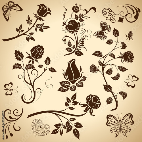 Obraz w ramie Rose vintage vector design elements