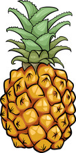 Pineapple Fruit Cartoon Illustration