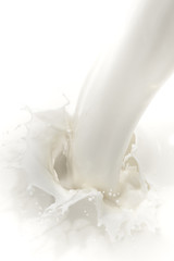 Poster - milk splash