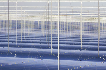 Wall Mural - Renewable Energy: Solar: The newest and the cleanest way to prod