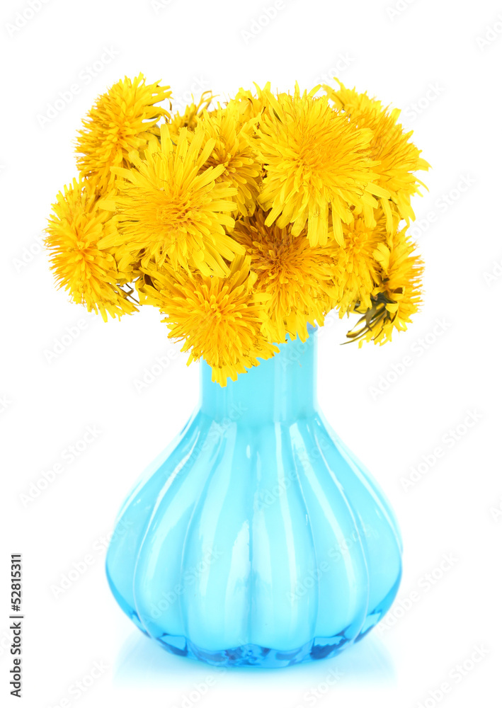 Dandelion flowers in vase isolated on white