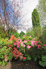 Canvas Print - Beautiful spring garden