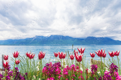 Naklejka - mata magnetyczna na lodówkę Flowers near lake, Montreux. Switzerland