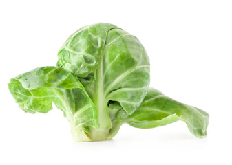 Poster - Fresh green Brussels sprout, cabbage isolated on white