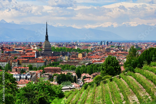 Cuadros en Lienzo MOLE ANTONELLIANA, TORINO. PIEMONTE