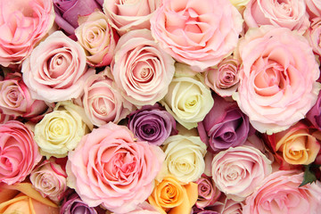 Sticker - Mixed pastel roses