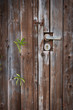 Old  door