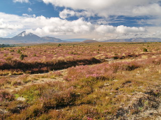 Sticker - Mount Ngauruhoe in New Zealand