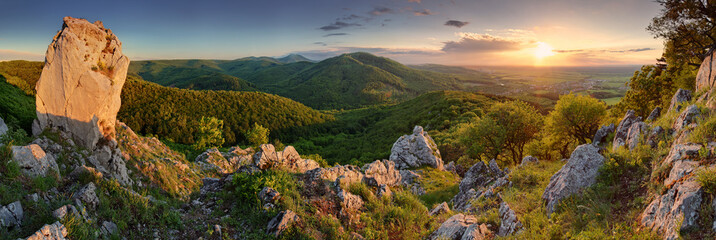 Poster - Green nature panorama with sun