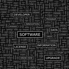 SOFTWARE. Word cloud concept illustration.  