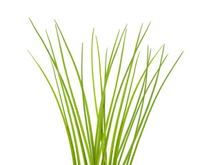 Wall Mural - Chives bunch