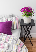 Purple Flowers In A Bright Bedroom