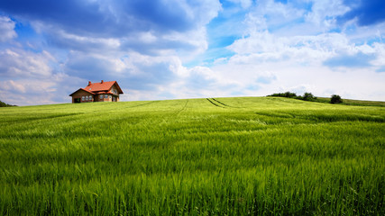 Poster - New house on blue sky