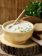 Wall Mural - Traditional Russian cold soup with vegetables (okroshka)