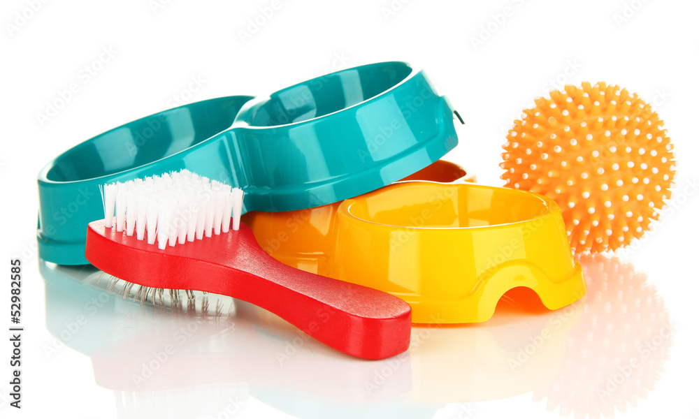 Pet accessories isolated on white