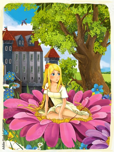 Plakat na zamówienie The princesses - castles - knights and fairies