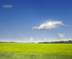 Sticker - Beautiful summer landscape.