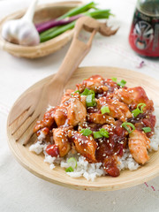 Poster - Rice with chicken sauce