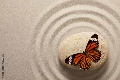 Naklejka na kafelki Zen rock with butterfly