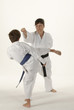 © alephcomo1 - Martial arts