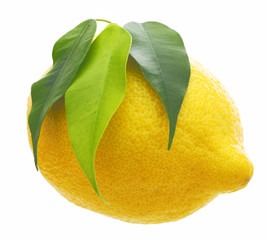 Lemon with green leaf