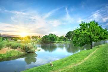 Wall Mural - Landscape with the river