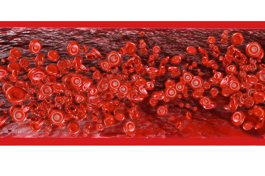 Blood cells - 3D Rendering