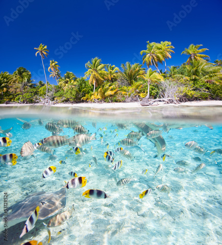 Naklejka - mata magnetyczna na lodówkę Tropical island