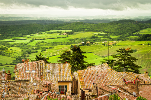 View of the red roofs and g...