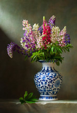 Still Life With Flowers Lupine In A Chinese Vase