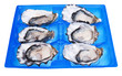 half a dozen oysters
