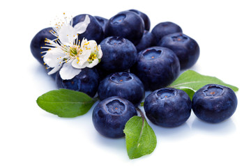 blue berry and white flower