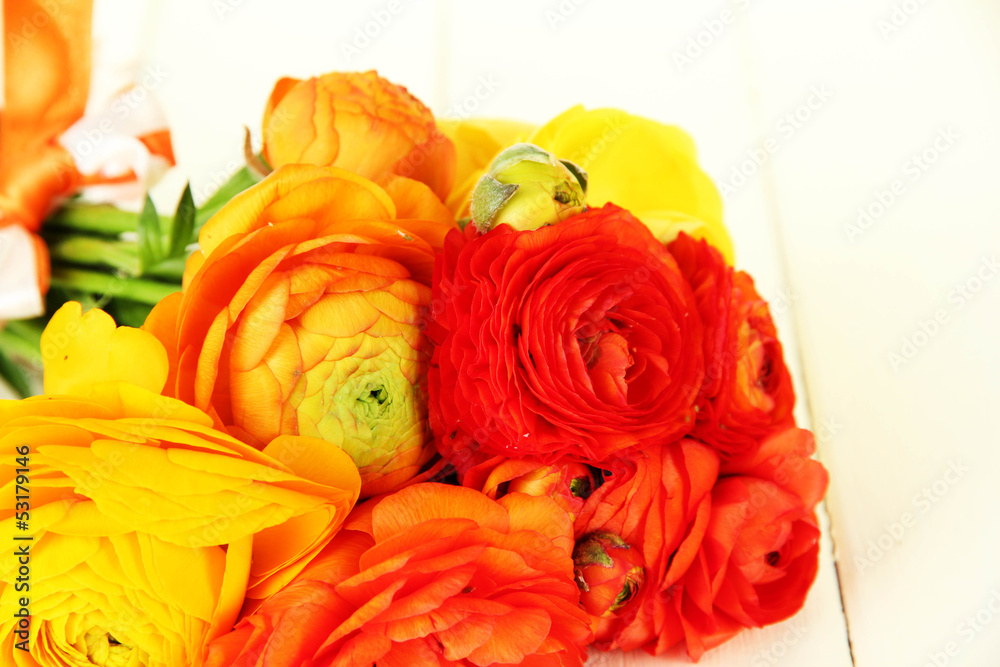 Ranunculus (persian buttercups), on white wooden background