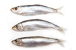 Sprats a small oily fish isolated on a white background