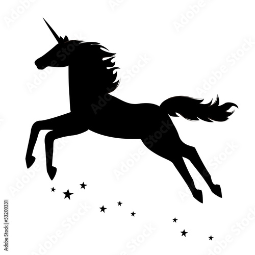 Fotografie, Obraz Silhouette of a beautiful magical unicorn.