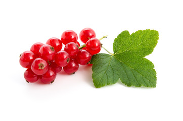 Canvas Print - Rote Johannesbeeren mit Blatt