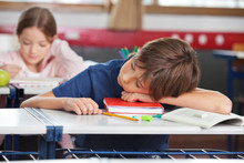 Boy Sleeping While Girl Studying In Background