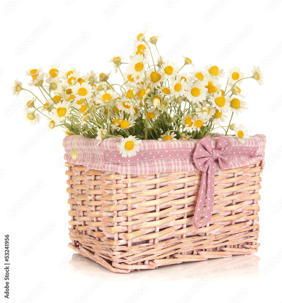 Small chamomiles in wicker basket isolated on white