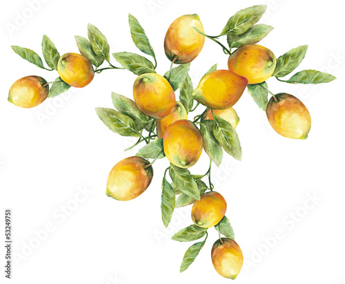 Nowoczesny obraz na płótnie Lemons Pattern