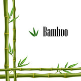 Fototapeta Sypialnia - Bamboo frame