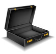 Open briefcase