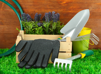 Wall Mural - Garden tools on grass in yard