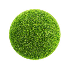 grass ball